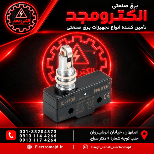 میکروسوئیچ 1309