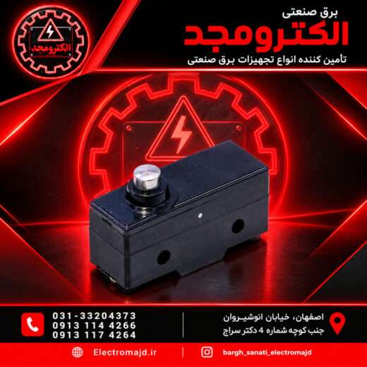 میکروسوئیچ1306